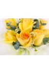 Mellow Yellow - AHB046