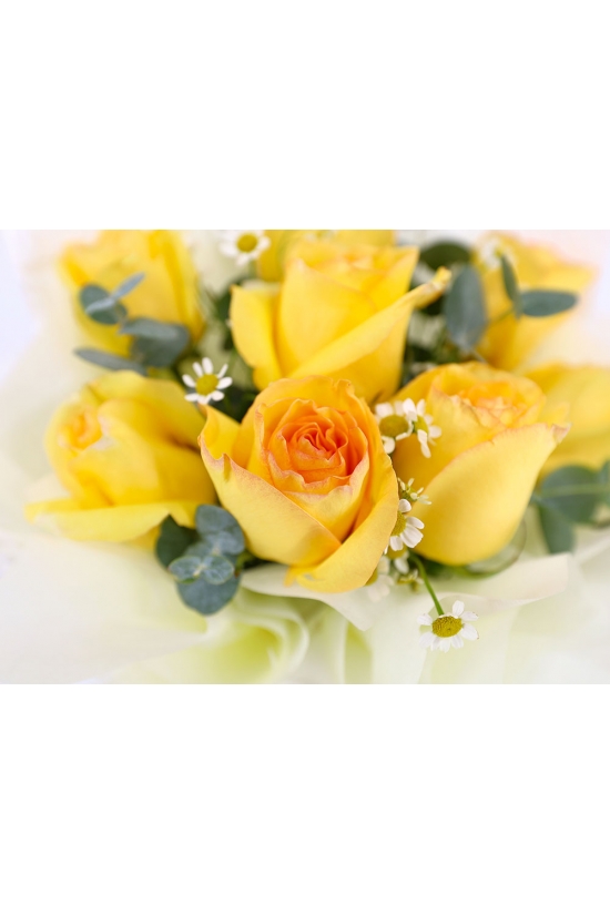 Mellow Yellow - AHB046