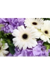 Respect Condolences - ASW2504