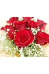 Peach Blossom - AHB049