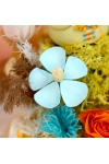 Pompompurin - AFD007
