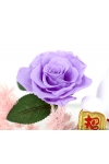 Abundance Wealth  - AGO007 Floral (Medium)