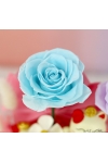 Earn Riches Daily AGO011 Floral (Medium)