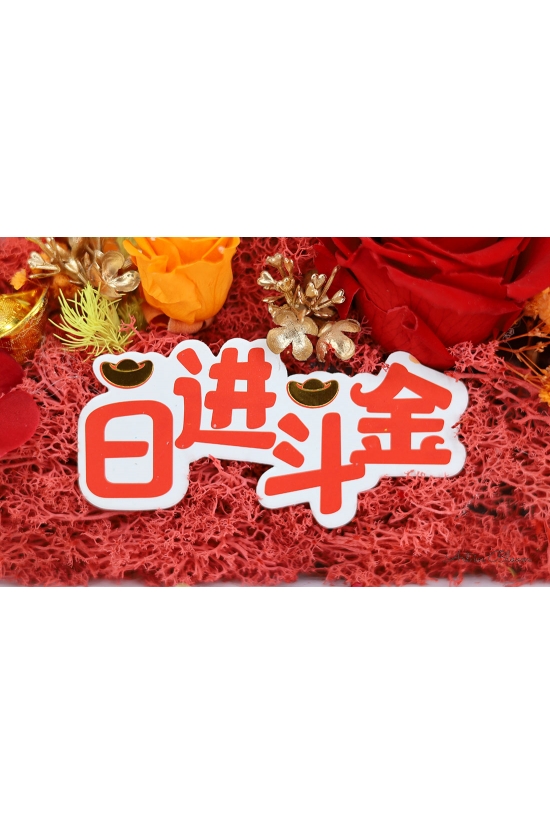 Earn Riches Daily AGO011 Red (Medium)