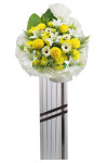 Harmony - ASW9010