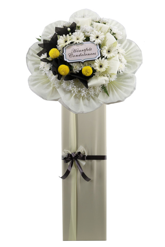 Comforting Support - ASW6005