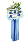 Remembrance - ASW1002