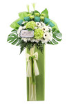 Sympathy - ASW1201