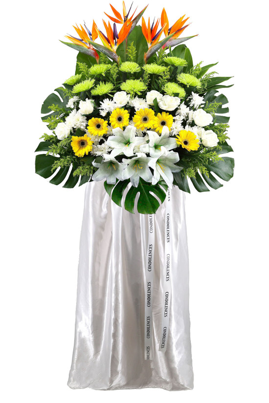 Eternal Paradise - ASW1501
