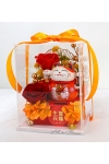 Fortune All Round - AGO001 Orange (Small)