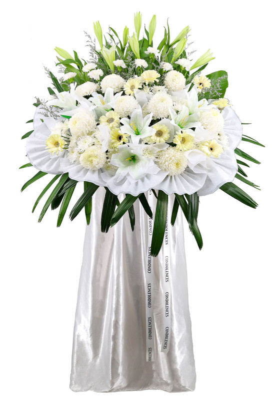 Gentleness - ASW2502