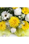 Graceful Tribute - ASW1301