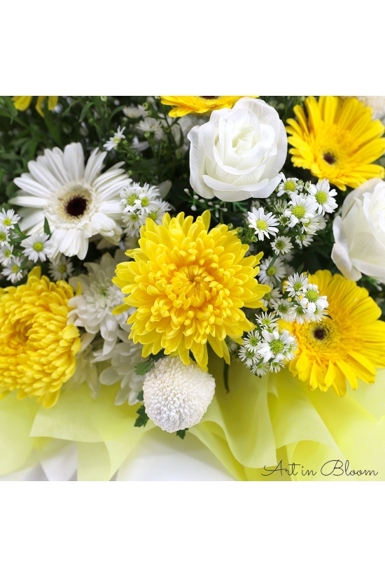 Graceful Tribute - ASW1301