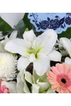 Comforting Calm - ASW2505