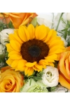 A Cheesy Surprise - AHB053