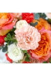 Charismatic Leos - ATA040