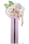 Gentle Words - ASW6003Pink