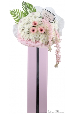 Gentle Words - ASW6003Pink