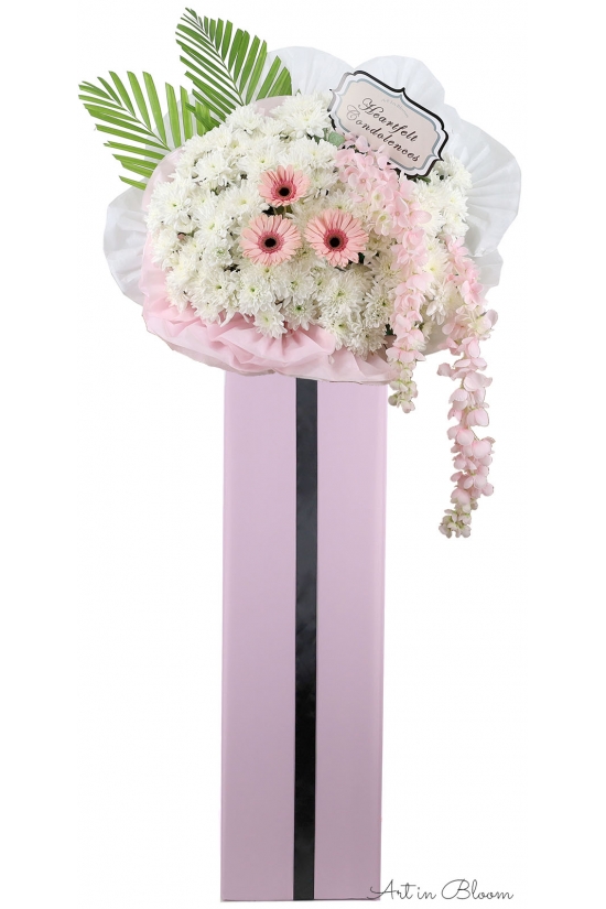 Gentle Words - ASW6003Pink