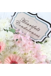 Gentle Words - ASW6003Pink
