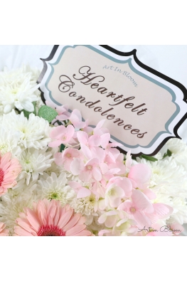 Gentle Words - ASW6003Pink