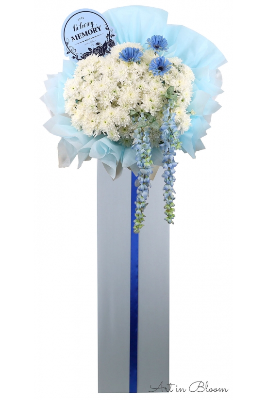 Gentle Words - ASW6003Blue