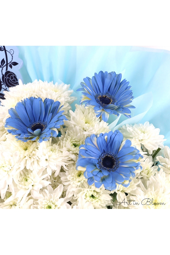Gentle Words - ASW6003Blue
