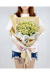 Meadow Fresh - AHB008