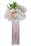 Cherished - ASW8005