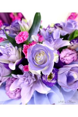 Lavender Bloom - AGO1304