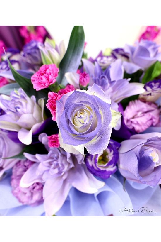 Lavender Bloom - AGO1304