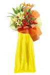 Vibrant Vigour - AGO1201