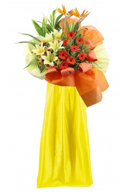 Vibrant Vigour - AGO1201