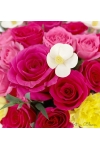 Pink Sunshine - AHB085