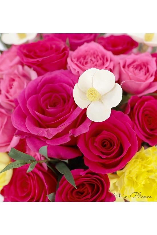 Pink Sunshine - AHB085