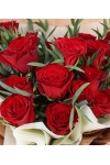 Scarlet Elegance - AHB081