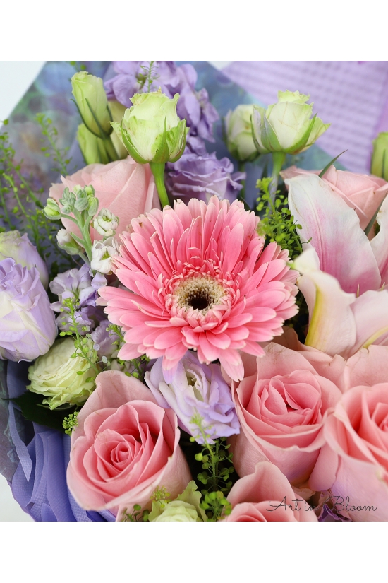 Blush Harmony - AHB076