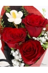 Red Delight - AHB075red