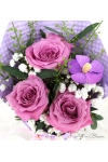 Purple Delight - AHB075purple