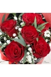 Red Rose Reverie - AHB074