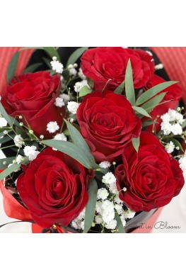 Red Rose Reverie - AHB074