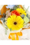 Blush & Bloom - AHB072