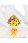 Blush & Bloom - AHB072