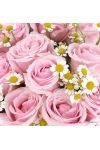 Pink Whispers - AHB070