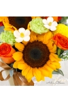 Blushing Sunshine - AHB068