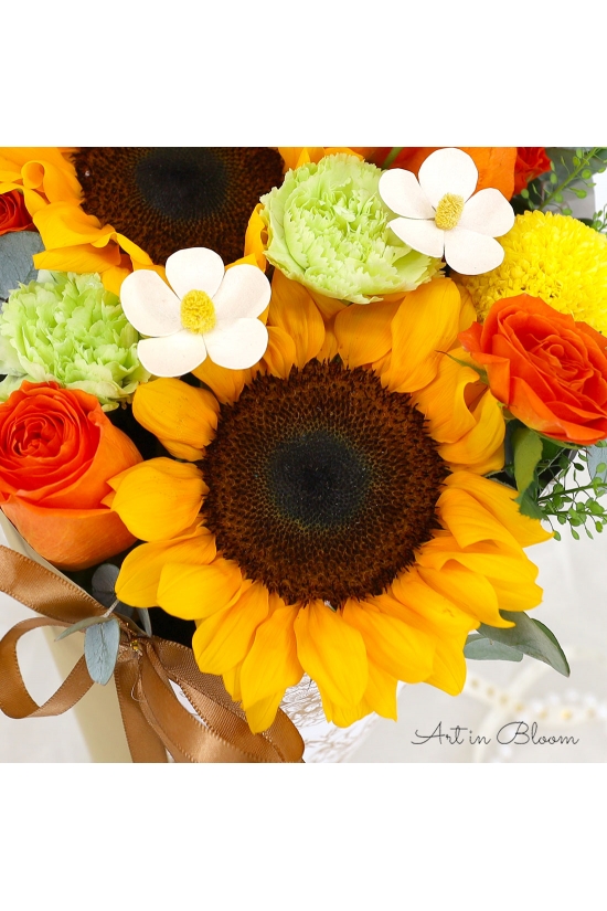 Blushing Sunshine - AHB068