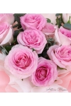Tickled Pink - AHB067