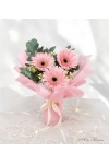 Pink Lady - AHB064