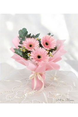 Pink Lady - AHB064