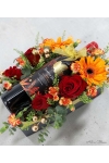 Shiraz Cheers - APG010